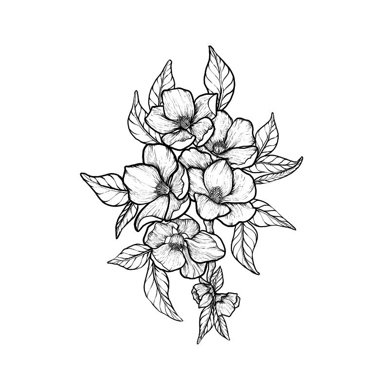Bold Rosa Pardon Tatu - 🅹🅰🅶🆄🅰 🆃🅰🆃🆄