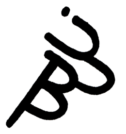 Buci Jagua Tatu - 🅹🅰🅶🆄🅰 🆃🅰🆃🆄