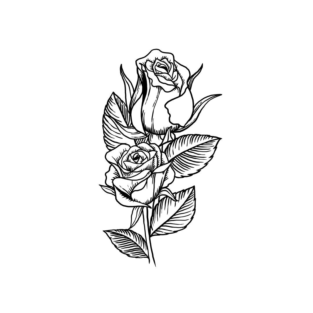 Rose Duo Pardon Tatu - 🅹🅰🅶🆄🅰 🆃🅰🆃🆄