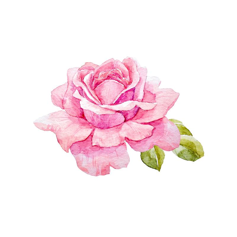 Tea Rose Pardon Tatu - 🅹🅰🅶🆄🅰 🆃🅰🆃🆄