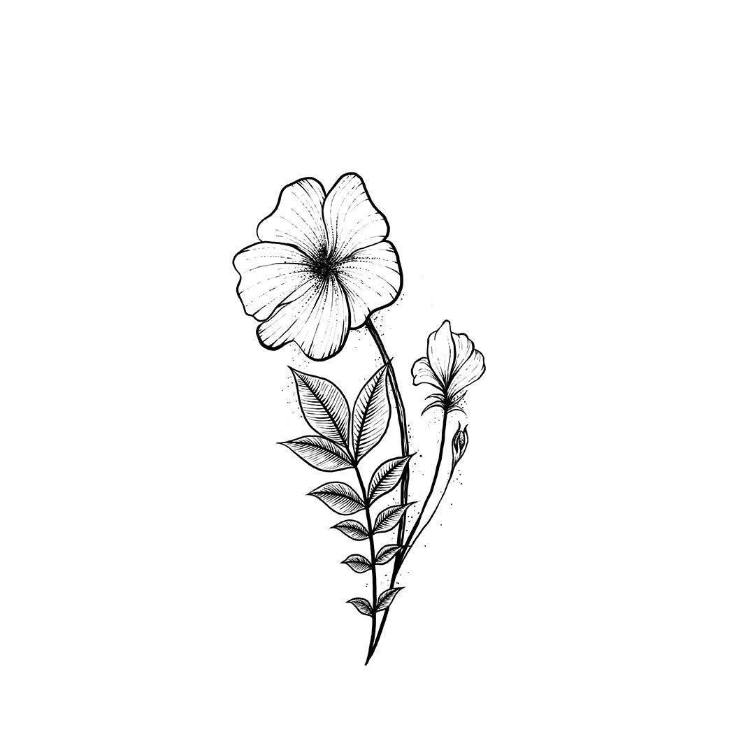 Wallflowers Pardon Tatu - 🅹🅰🅶🆄🅰 🆃🅰🆃🆄