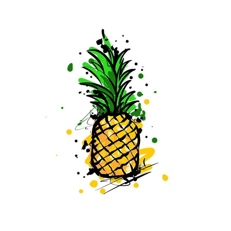 Ananas Splash Pardon Tatu - 🅹🅰🅶🆄🅰 🆃🅰🆃🆄
