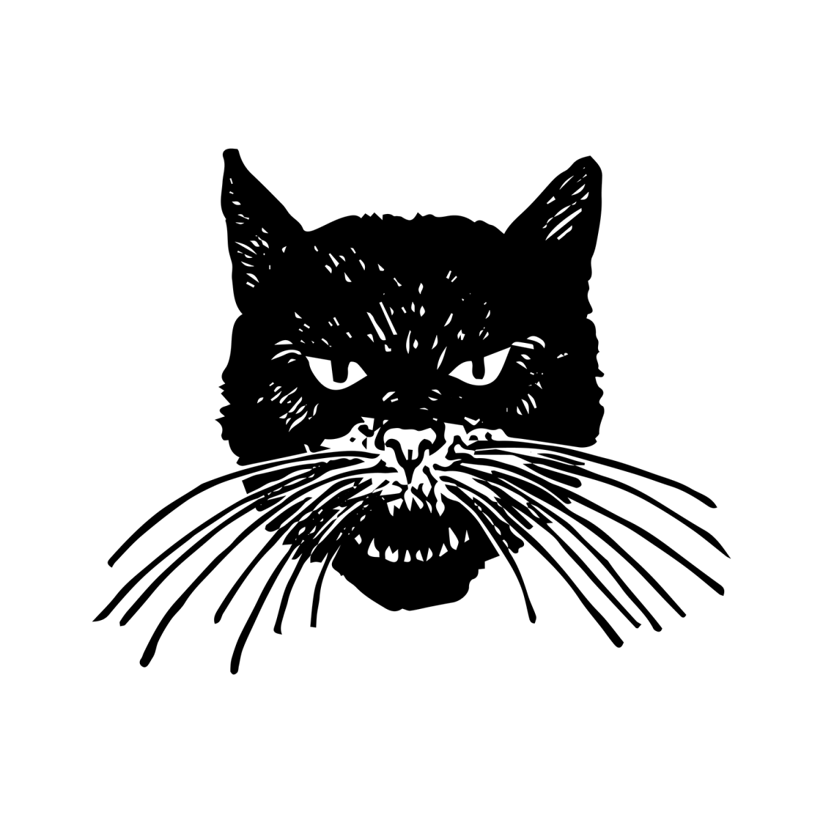 Angry Face Pardon Tatu - 🅹🅰🅶🆄🅰 🆃🅰🆃🆄