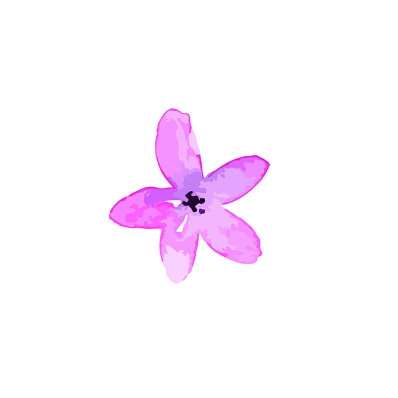 Cattleya Pardon Tatu - 🅹🅰🅶🆄🅰 🆃🅰🆃🆄