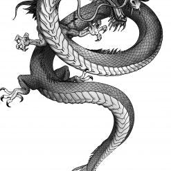 Dragon Ceusan tatuaj jagua real - 🅹🅰🅶🆄🅰 🆃🅰🆃🆄