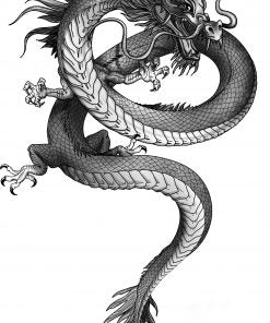 Dragon Ceusan tatuaj jagua real - 🅹🅰🅶🆄🅰 🆃🅰🆃🆄
