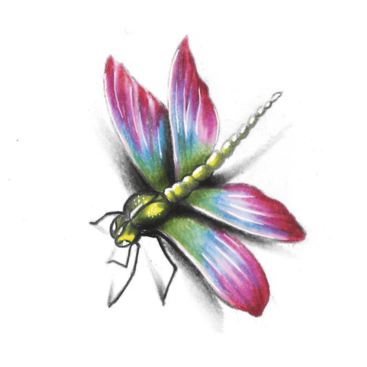 Fly Color Pardon Tatu - 🅹🅰🅶🆄🅰 🆃🅰🆃🆄