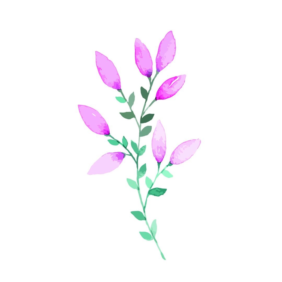 Pink Branch Pardon Tatu - 🅹🅰🅶🆄🅰 🆃🅰🆃🆄