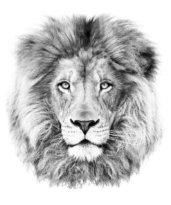 Roar tatuaj jagua real - 🅹🅰🅶🆄🅰 🆃🅰🆃🆄