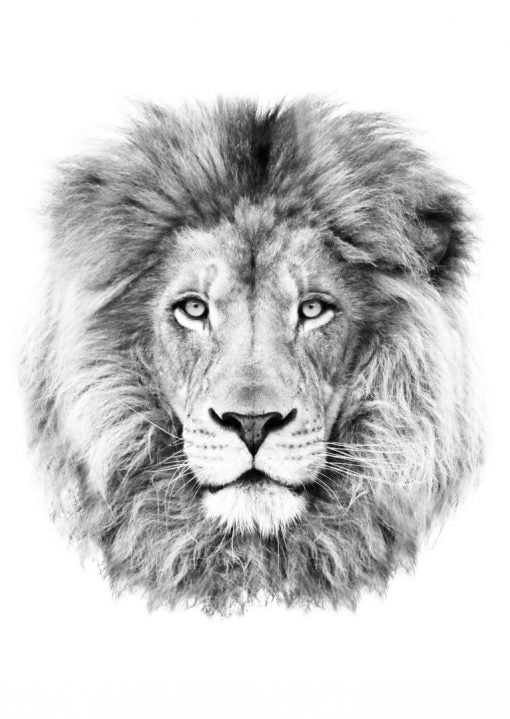 Roar tatuaj jagua real - 🅹🅰🅶🆄🅰 🆃🅰🆃🆄