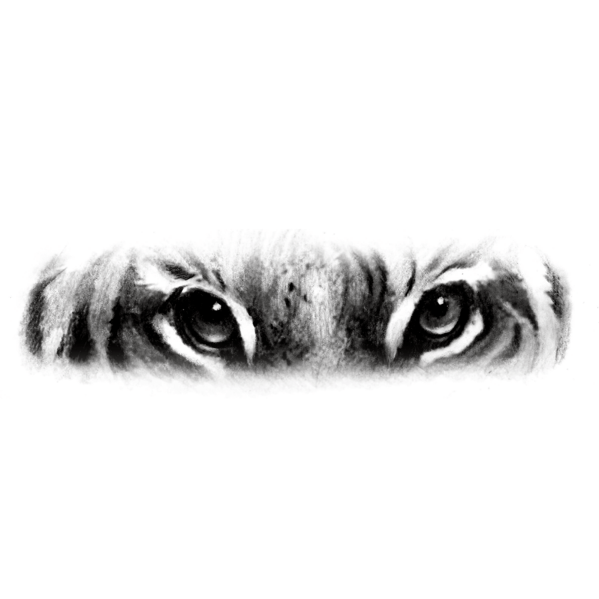Stalking Prey Pardon Tatu - 🅹🅰🅶🆄🅰 🆃🅰🆃🆄