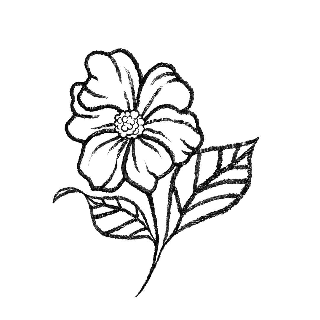 Tagetes Pardon Tatu - 🅹🅰🅶🆄🅰 🆃🅰🆃🆄