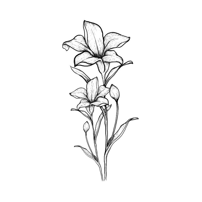 Tiger Lily Pardon Tatu - 🅹🅰🅶🆄🅰 🆃🅰🆃🆄
